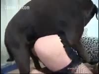 Horny woman wishes a doggy fuck